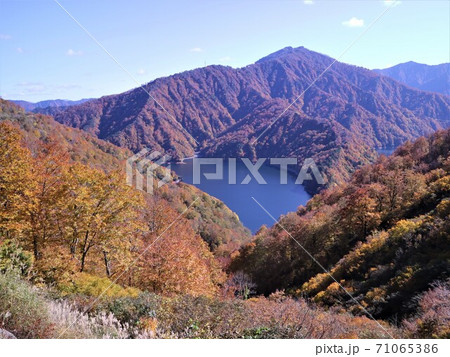 田子倉湖の紅葉 田子倉湖の紅葉 71065386
