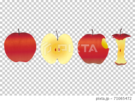 各種蘋果的素材插圖 71065472