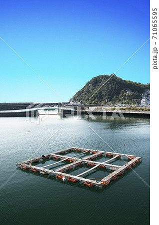 養殖いかだのある魚港の風景 71065595