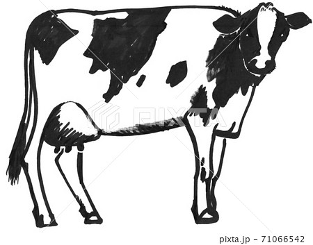 ペンで描いた乳牛のイラスト素材