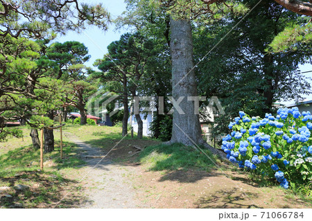 旧南部氏別邸庭園 旧南部氏別邸庭園 71066784