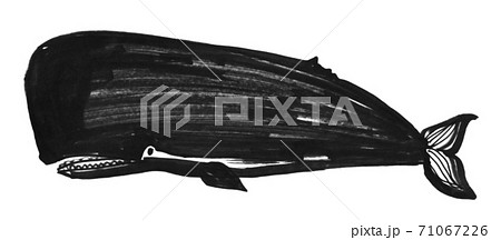 手書きのくじら 71067226