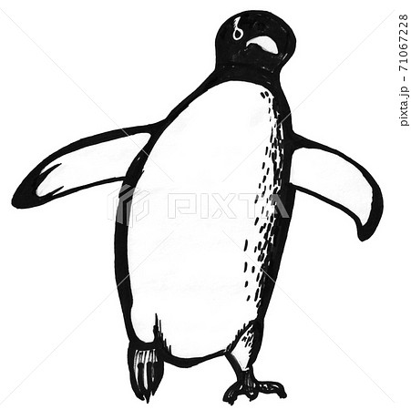 手描き線画のペンギンのイラスト素材