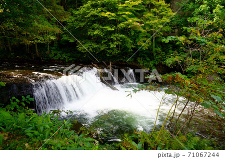 さくらの滝　北海道 71067244
