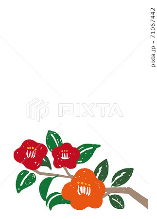 椿をモチーフに使った 寒中見舞いのデザイン 文字なしのイラスト素材