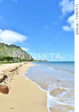 ハワイの休日 ハワイの休日 71067571