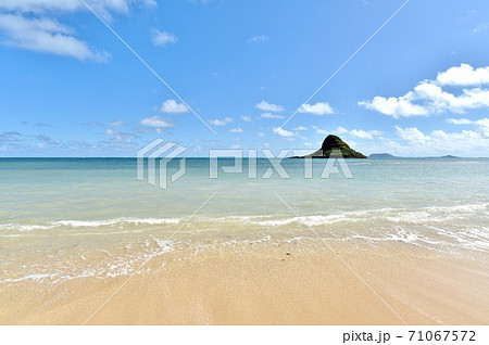 ハワイの休日 71067572