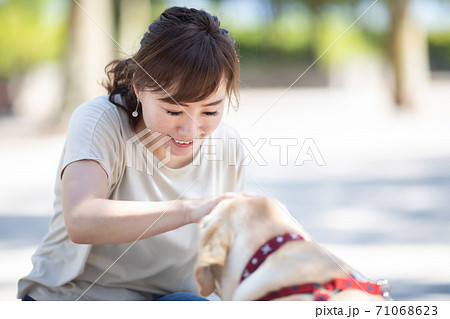 犬の散歩をする女性 犬の散歩をする女性 71068623