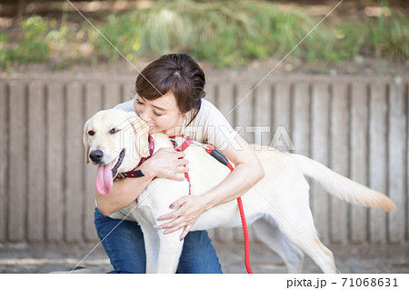 犬の散歩をする女性 犬の散歩をする女性 71068631
