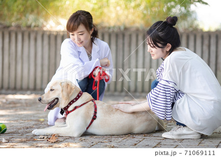 獣医さん 71069111