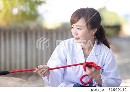 獣医さん 71069112