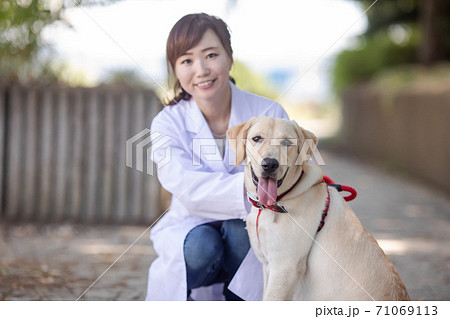 獣医さん 71069113