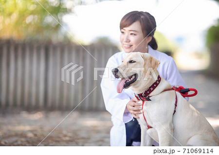 獣医さん 71069114