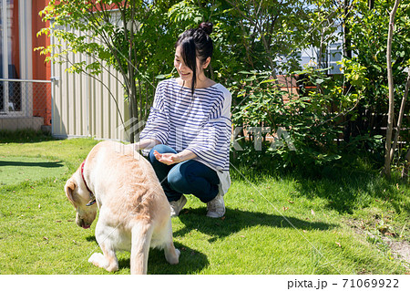 犬の散歩をする女性 71069922