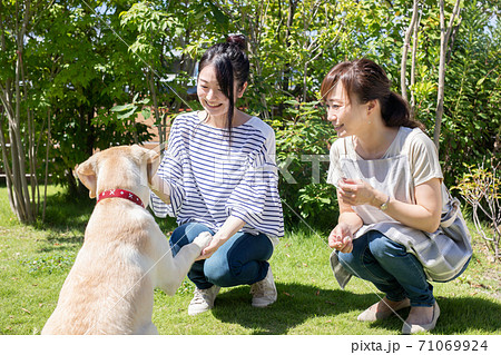 犬の散歩をする女性たち 71069924