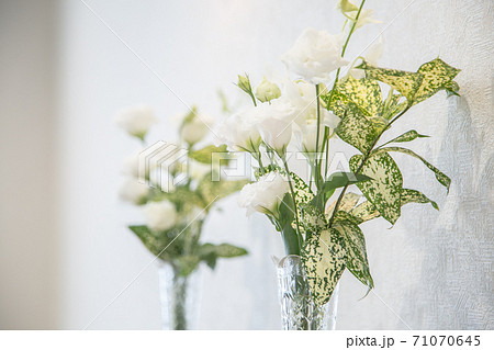 葬儀イメージ 71070645