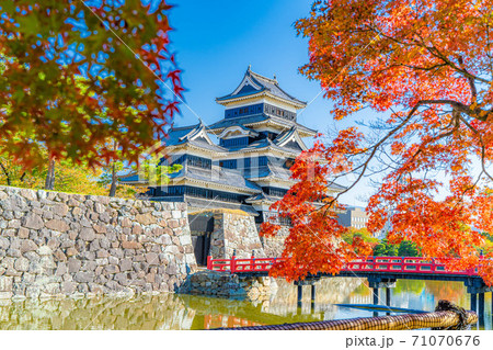 紅葉と松本城　【長野県】 71070676