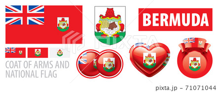 Vector set of the coat of arms and national flag of Bermuda 71071044