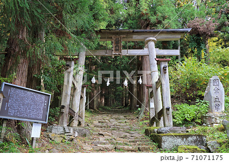 小菅の里 小菅神社 三の鳥居と奥社参道 小菅の里 小菅神社 三の鳥居と奥社参道 71071175