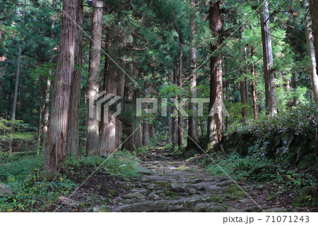 小菅の里　小菅神社奥社参道 71071243