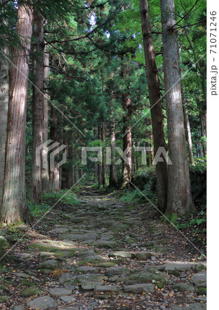 小菅の里 小菅神社奥社参道 小菅の里 小菅神社奥社参道 71071246