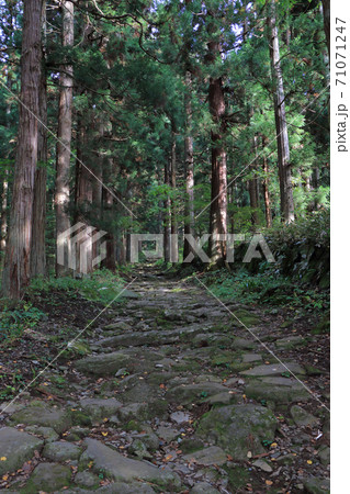 小菅の里 小菅神社奥社参道 小菅の里 小菅神社奥社参道 71071247