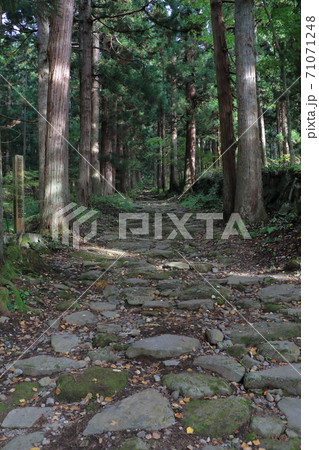 小菅の里 小菅神社奥社参道 小菅の里 小菅神社奥社参道 71071248