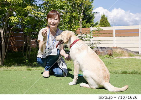 犬の世話をする女性 71071626