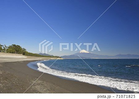 三保海岸 三保の松原　三保松原 71071825