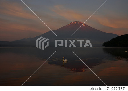年賀用山中湖からの富士山 71072587