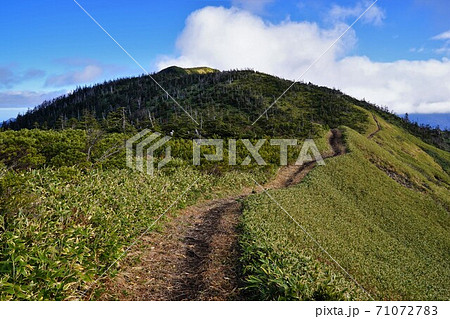 裏岩菅山への登山道 裏岩菅山への登山道 71072783
