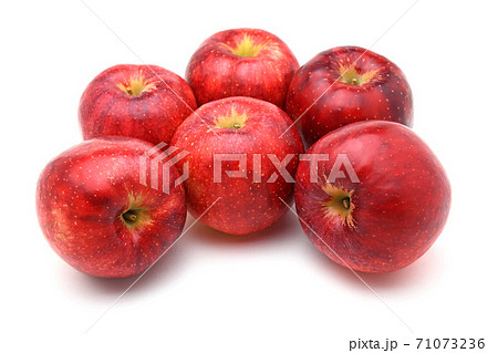 りんご 彩香 の写真素材