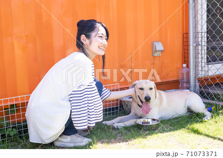 犬に水をあげる女性 71073371