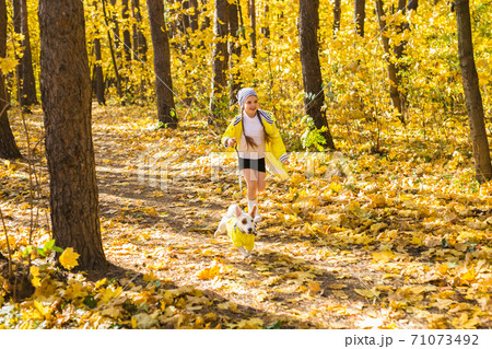 Child plays with Jack Russell Terrier in autumn forest. Autumn walk with a dog, children and pet concept. 71073492