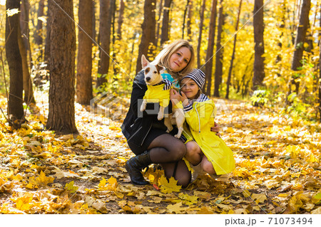 Woman with her dog at autumn park. Girl playing with jack russell terrier outdoors. Pet and people concept. Woman with her dog at autumn park. Girl playing with jack russell terrier outdoors. Pet and people concept. 71073494