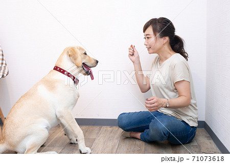 犬と女性 犬と女性 71073618