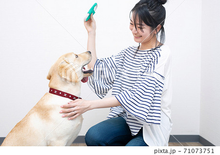 犬と女性 71073751