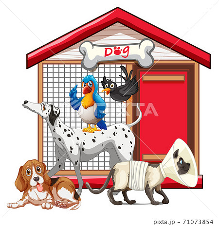 Set of pet with its house 71073854