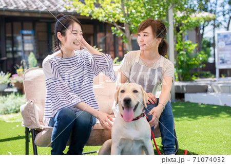 犬と女性 71074032