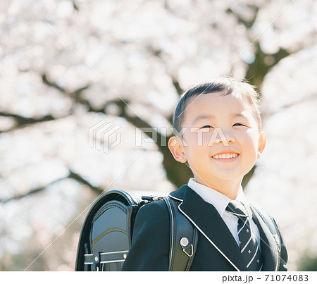 小学校 入学式 新一年生 小学校 入学式 新一年生 71074083