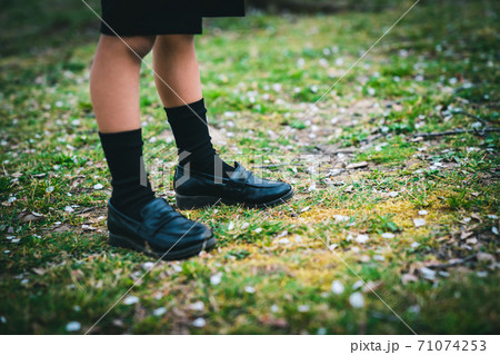 小学校入学 小学校入学 71074253