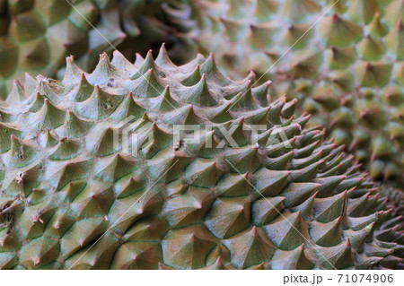 durian fruit texture 71074906