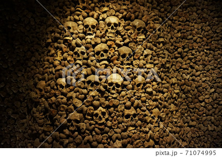 Human bones and skulls as pirate texture 71074995