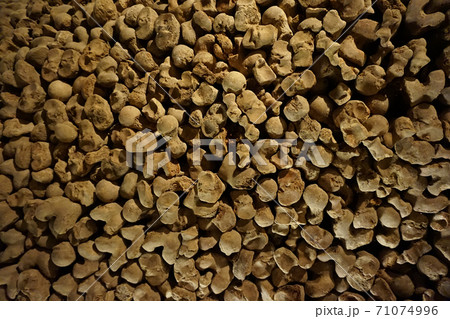 Human bones and skulls as pirate texture 71074996