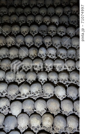 Human bones and skulls as pirate texture Human bones and skulls as pirate texture 71074997