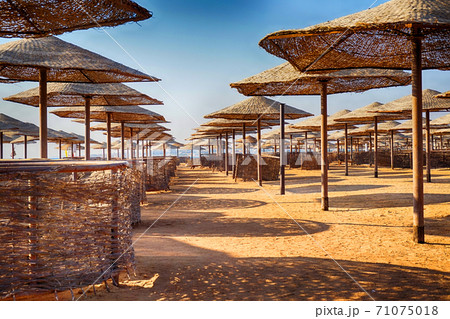 beach in the egypt 71075018