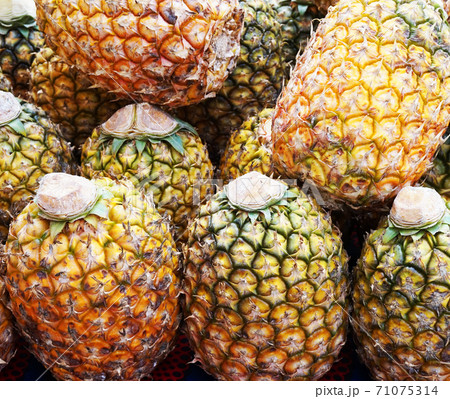 pineapple fruit texture pineapple fruit texture 71075314