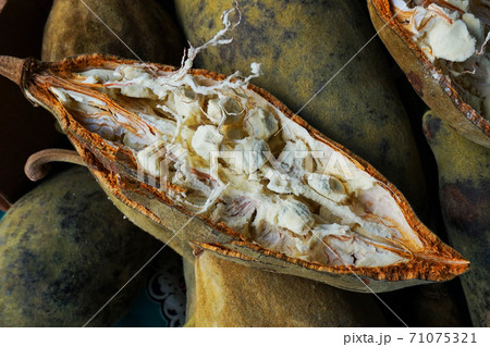 open baobab fruit 71075321