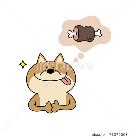 ごちそうを想像して喜ぶ柴犬 71076063