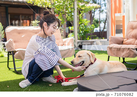 犬と女性 71076082